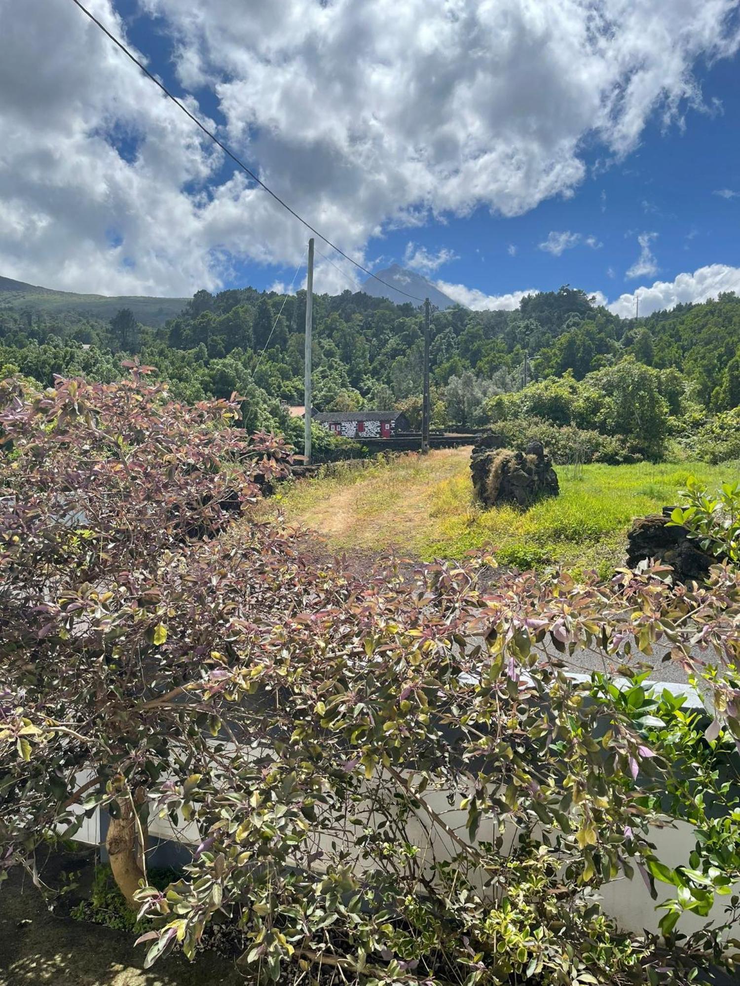 Residencias Requinte São Roque do Pico Eksteriør billede